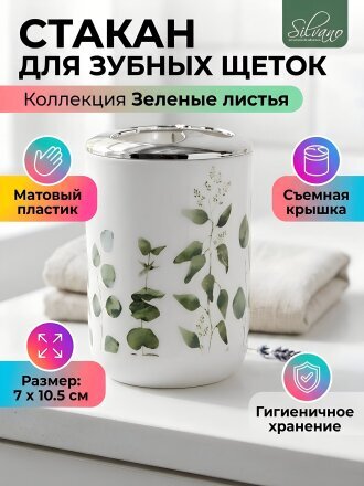 Зеленые листья