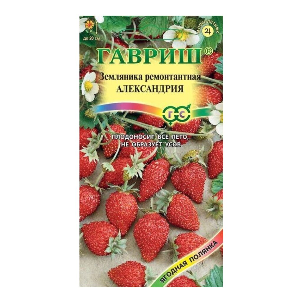 Семена Земляника, Александрина, 0.03 г, цветная упаковка, Гавриш