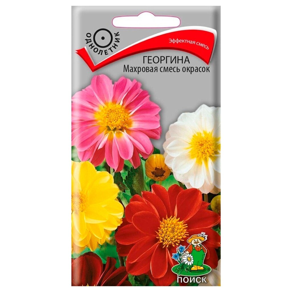 Семена Цветы, Георгина, Махровая смесь окрасок, 0.3 г, цветная упаковка, Поиск георгина кактусовая преференс