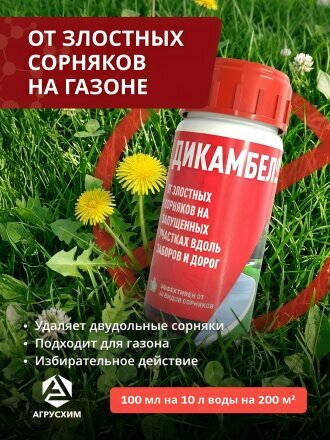 100 мл