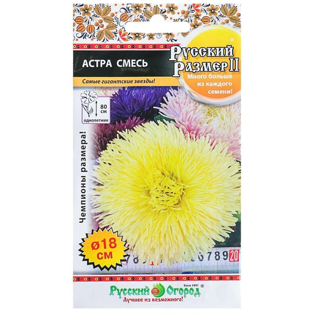 Семена Цветы, Астра, 0.2 г, Русский размер, II, цветная упаковка, Русский огород гигантские муравьи новосибирска