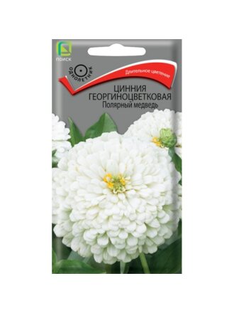 Полярный медведь