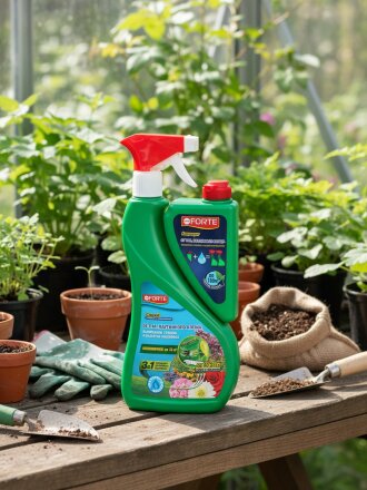 Спрейс + концентрат