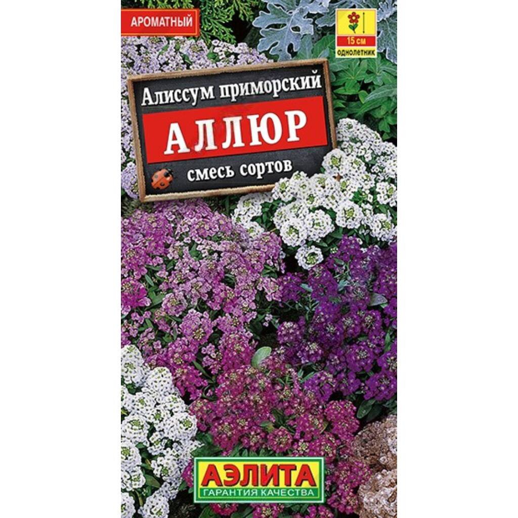 Семена Цветы, Алиссум, Аллюр, 0.03 г, смесь сортов, цветная упаковка, Аэлита семена ы алиссум снежный ковёр 0 3 г ная упаковка поиск