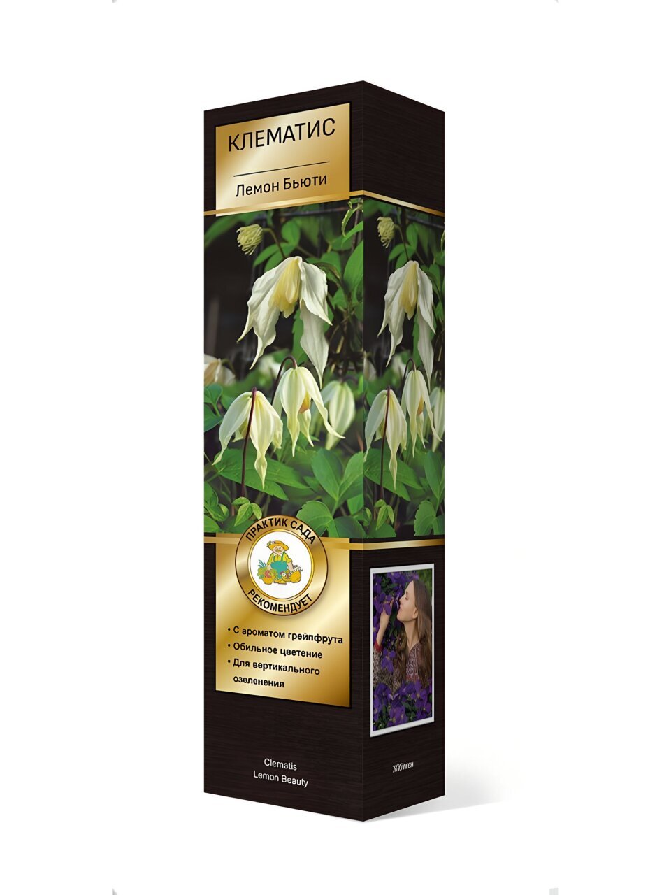 Саженцы Клематис ботанические, Лемон Бьюти, 751322