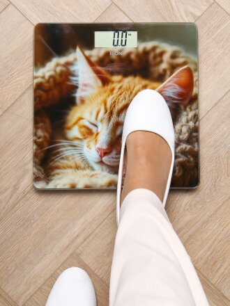 Котёнок PT-973