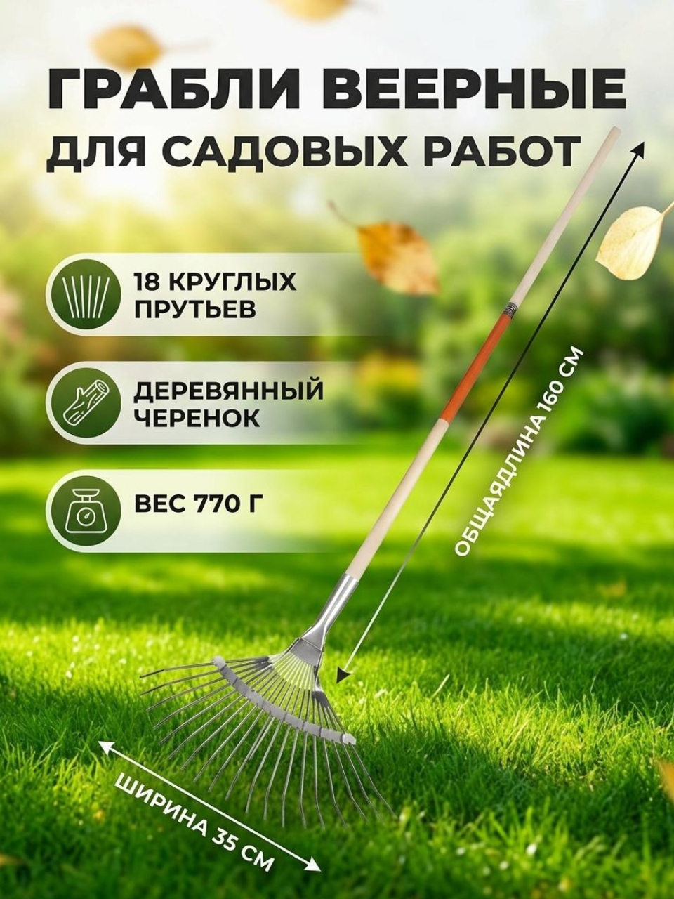 Грабли веерные, 18 зуб, оцинкованные, пластинчатые, окрашенные/оцинкованые, черенок деревянный