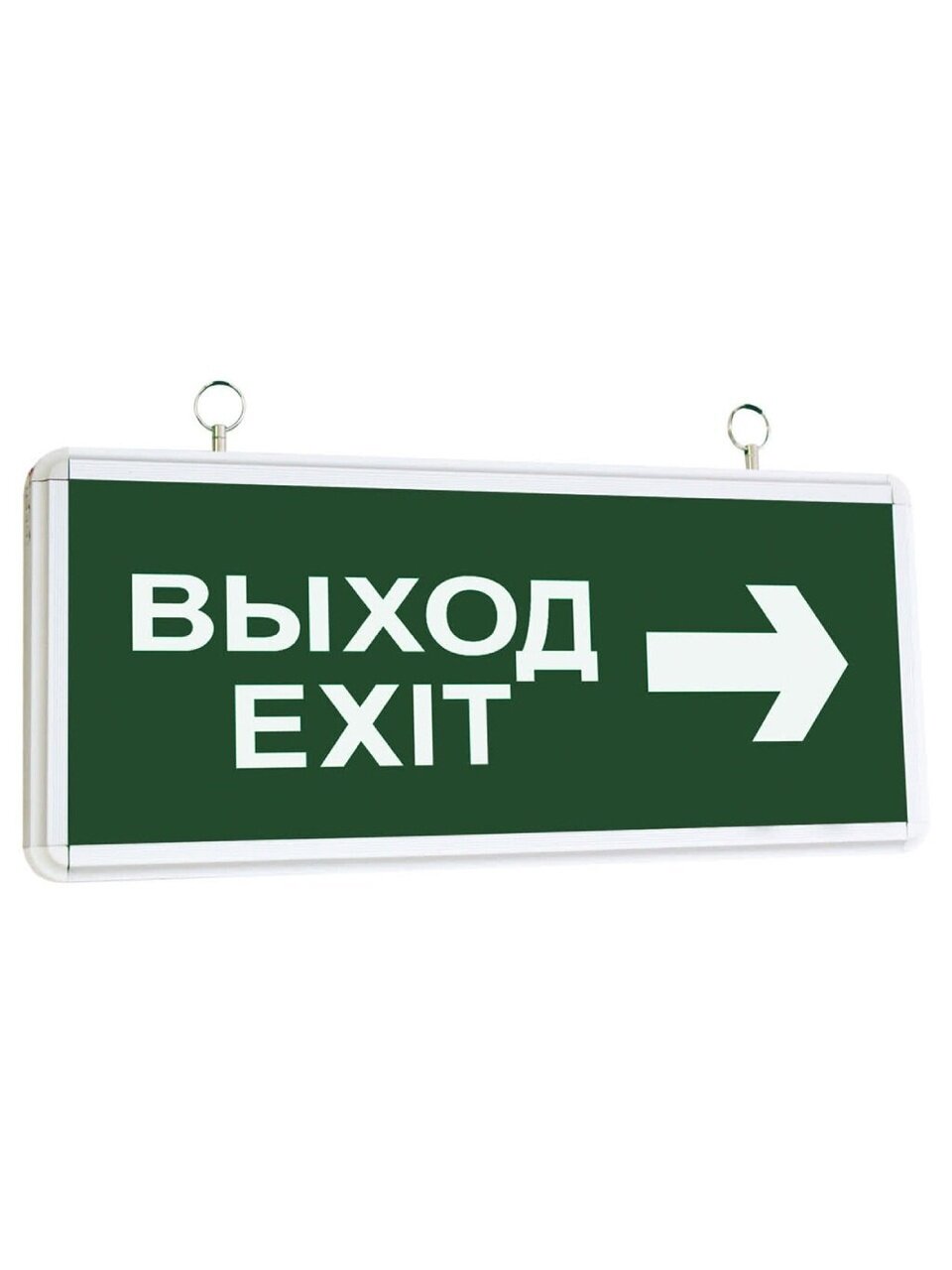 Светильник аварийный светодиодный, TDM Electric, ССА2-01, 1 Вт, 80 Лм, IP20, 36.3х15х2.3 см, эвакуационный, двухсторонний, ВЫХОД-EXIT стрелка, хром, SQ0349-0001