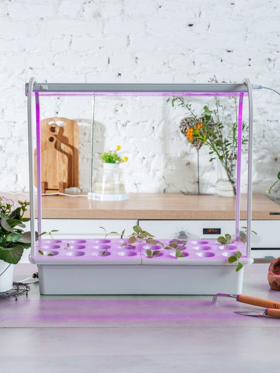 Светильник светодиодный для растений, 10 Вт, IP40, с подставкой, P44B, SPSB, белый, Uniel, Фито, ul-00004498