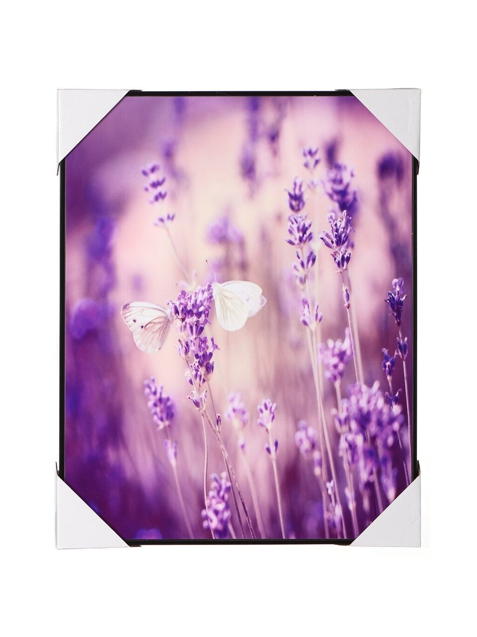 Картина 40х50 см, Лавандовое поле, Y4-3169