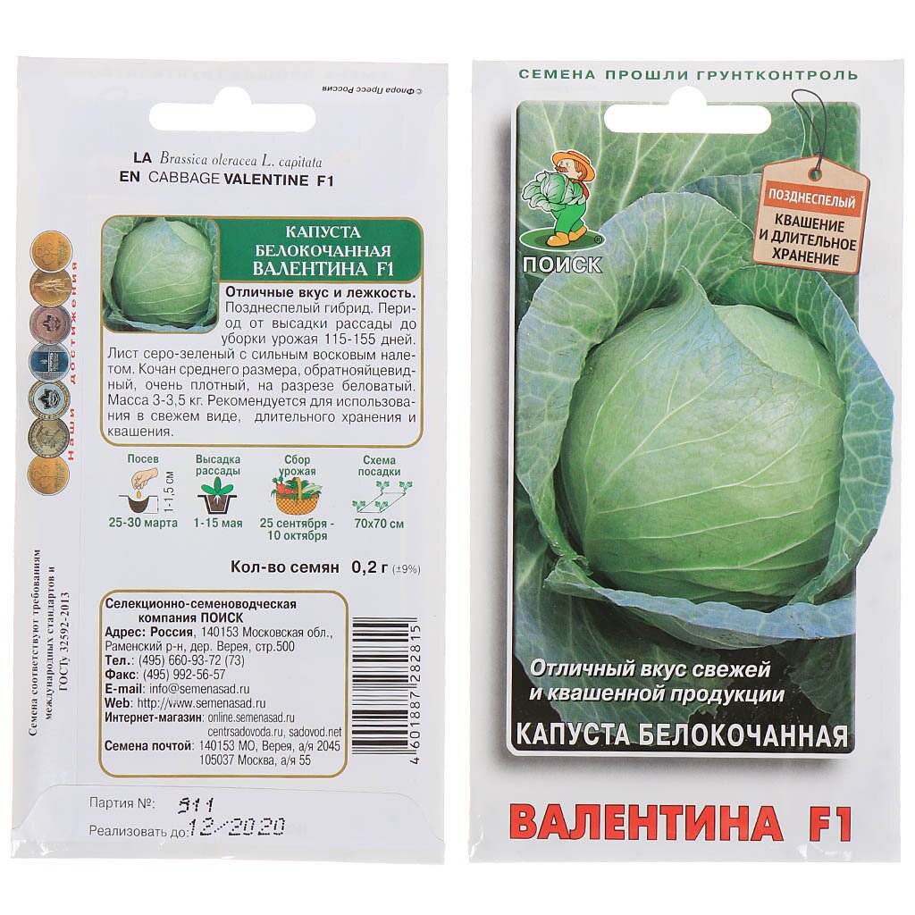 Семена Капуста белокочанная, Валентина F1, 0.2 г, цветная упаковка, Поиск