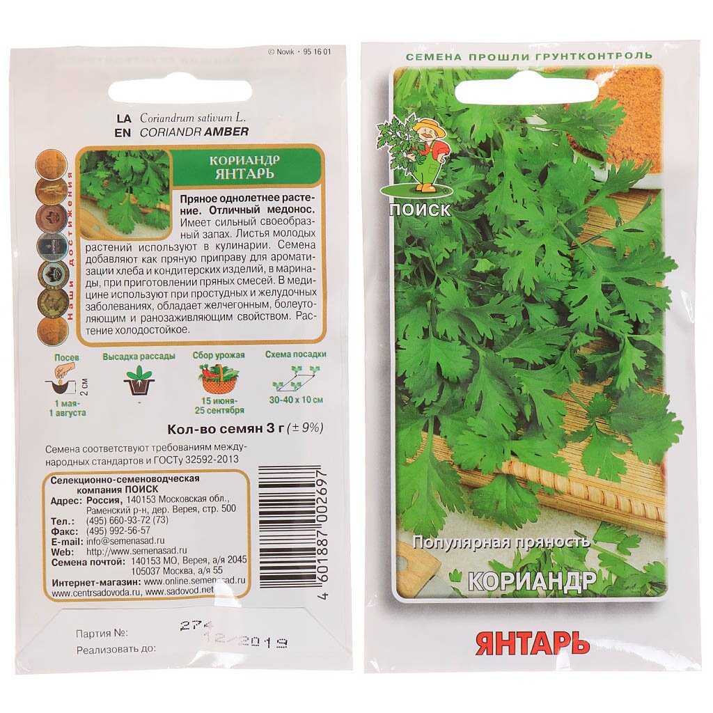 Семена Кинза, Янтарь, 3 г, цветная упаковка, Поиск лен семена 100г