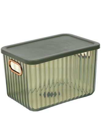 Корзина для хранения, 18.5х26х16.2 см, прямоугольная, пластик, зеленая, с крышкой, Y4-7052
