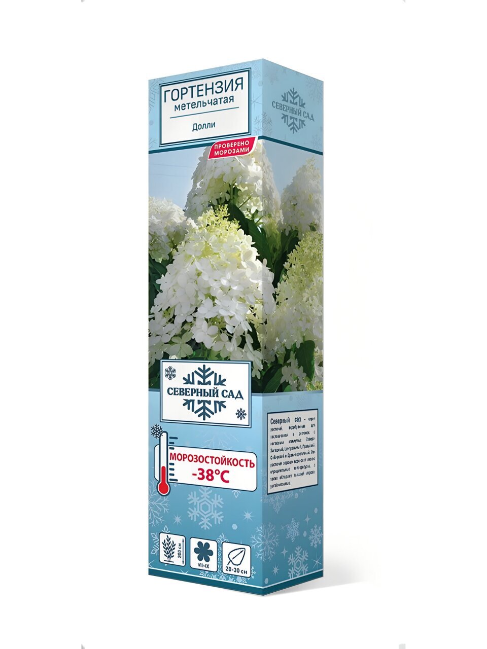 Саженцы Гортензия метельчатая, Долли, 750751