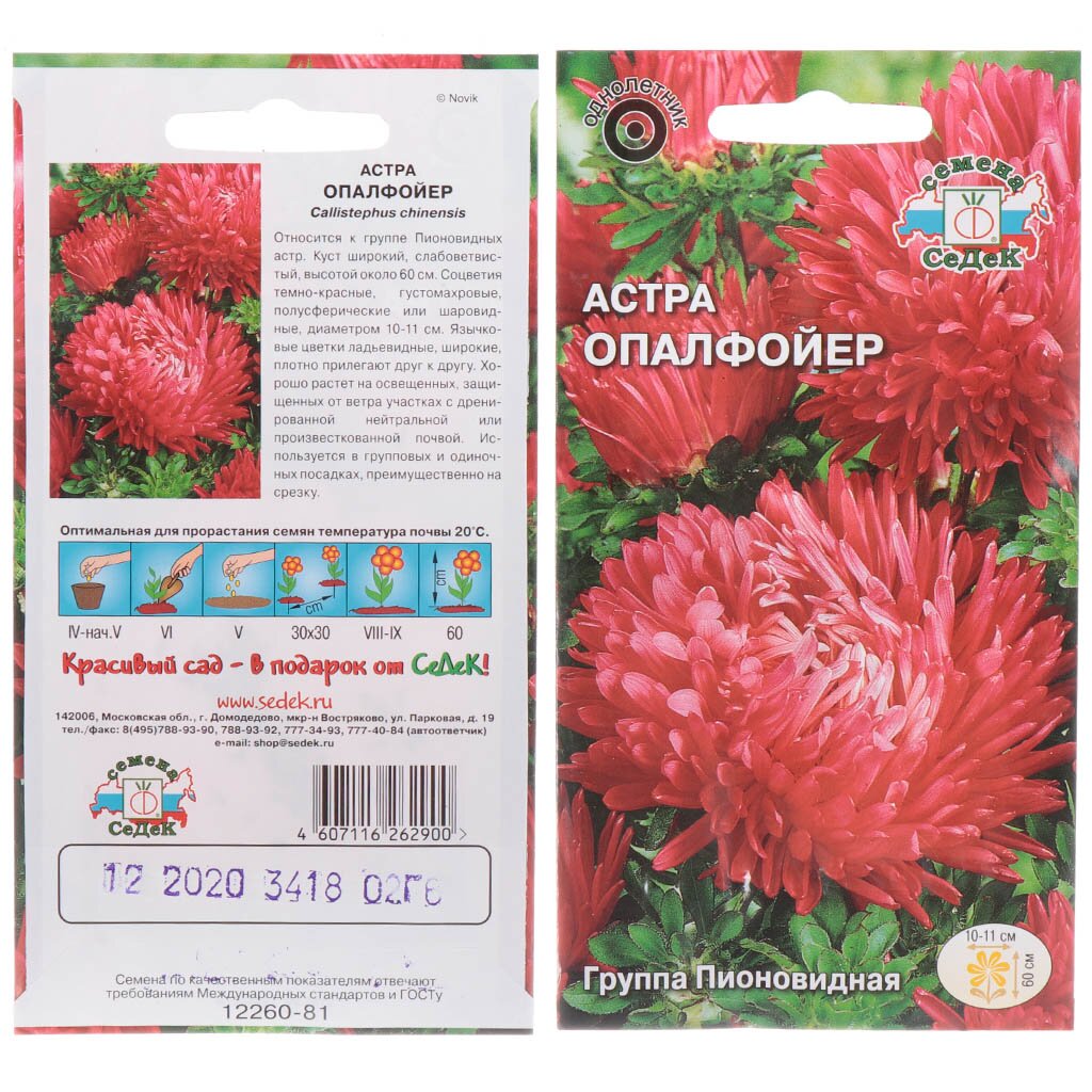 Семена Цветы, Астра, Опалфойер, 0.2 г, пионовидная, цветная упаковка, Седек