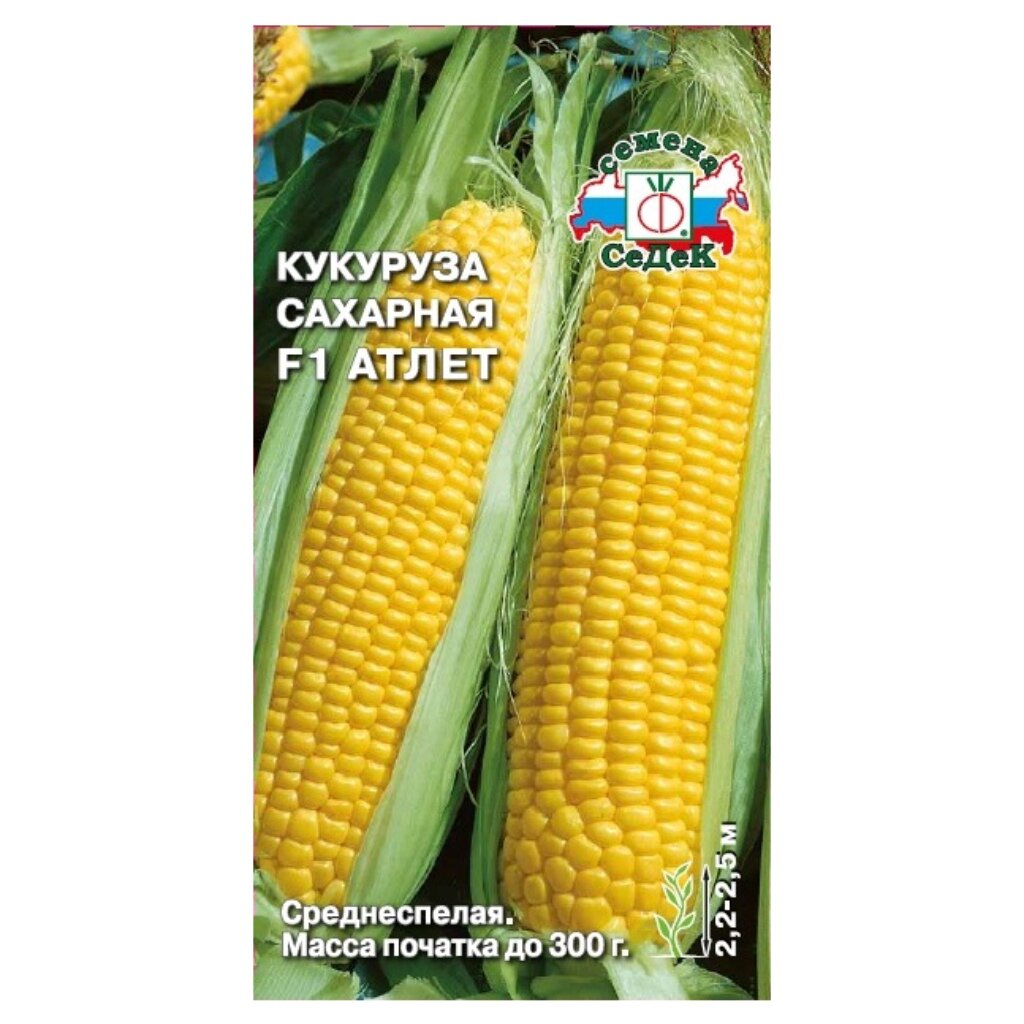 Семена Кукуруза, Атлет F1, сахарная, цветная упаковка, Седек glofish растение флуоресцирующее l 29 см желтое