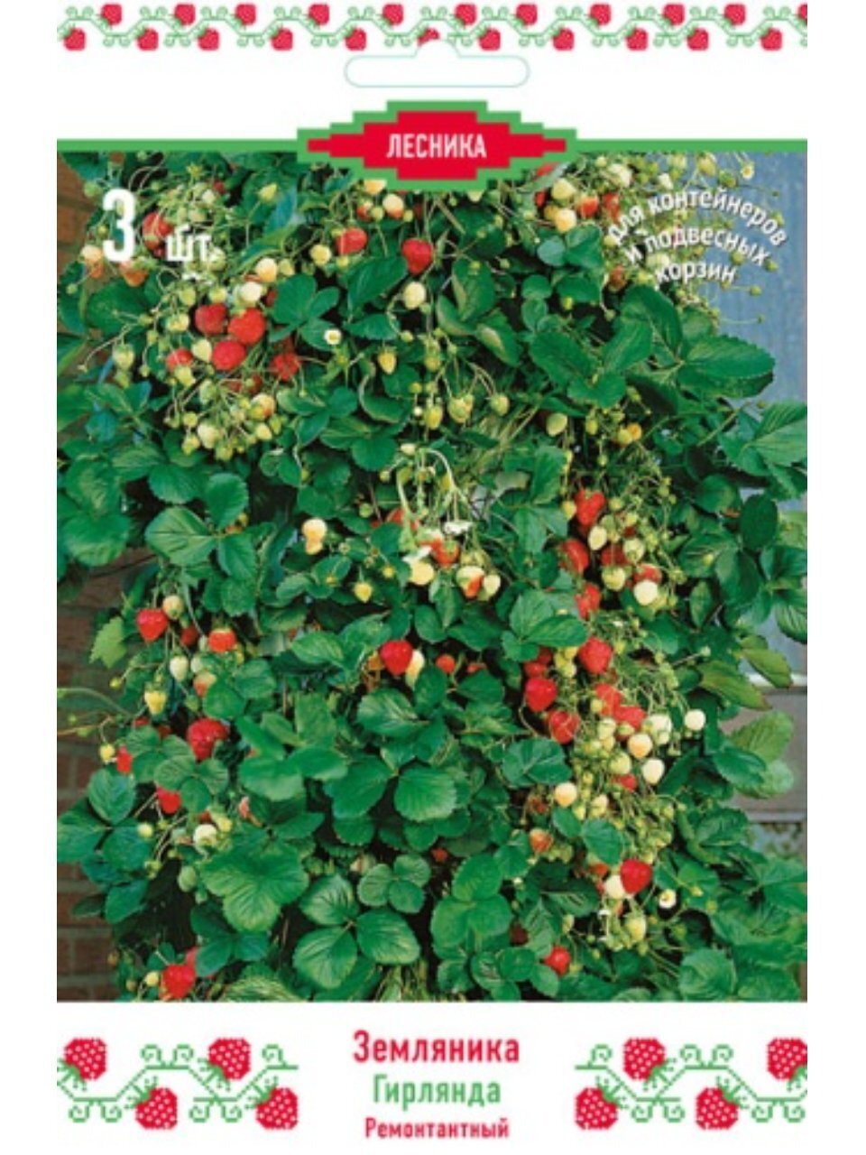 Саженцы Земляника садовая, Гирлянда, 3 шт, 670449