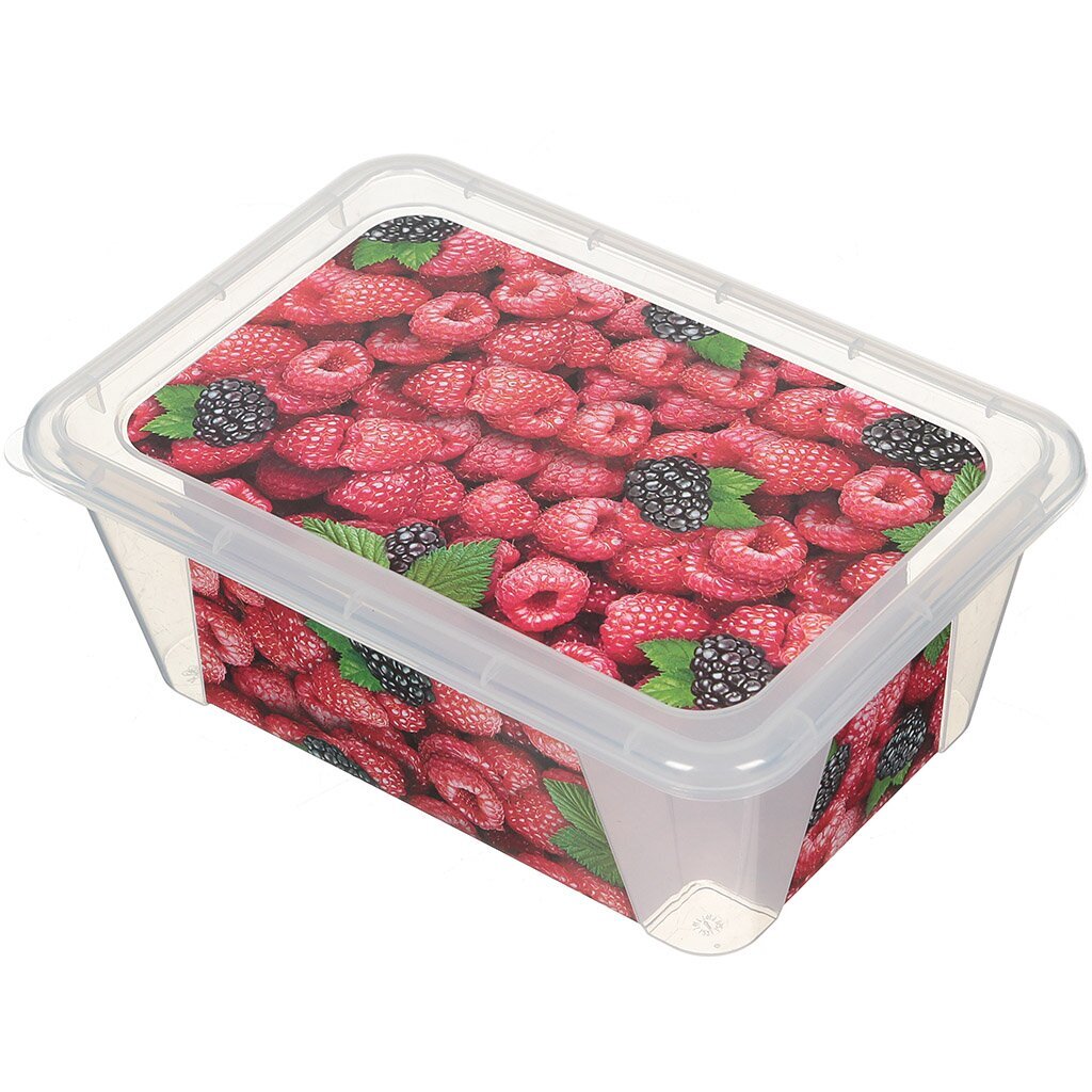 Конт д/СВЧ и заморозки 0,9л Малина