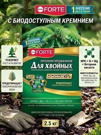 Хвойное