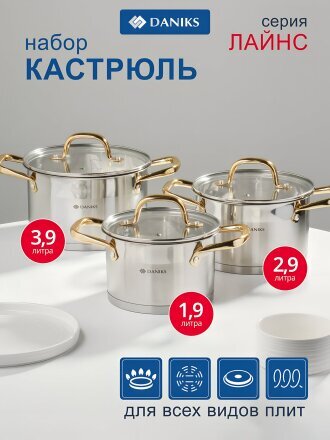 Набор посуды нержавеющая сталь, 6 предметов, индукция, Daniks, Лайнс, SD-072-6