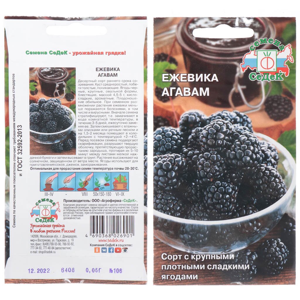 Семена Ягода Ежевика, Агавам, цветная упаковка, Седек