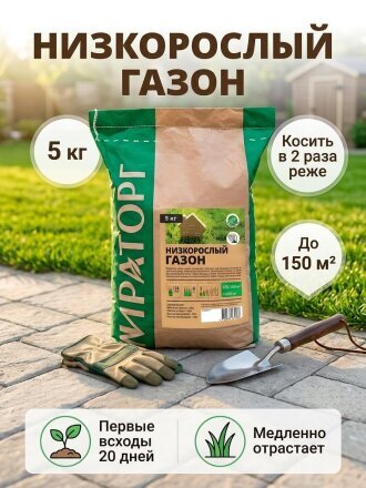 5000 г