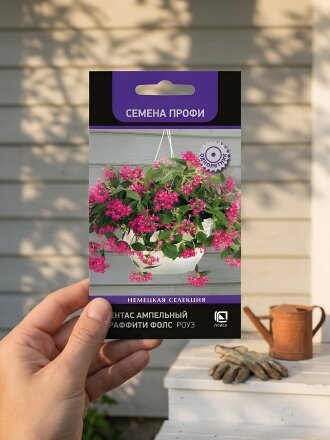 Семена Цветы, Пентас ампельный, Граффити Фолс Роуз, 5 шт, цветная упаковка, Поиск