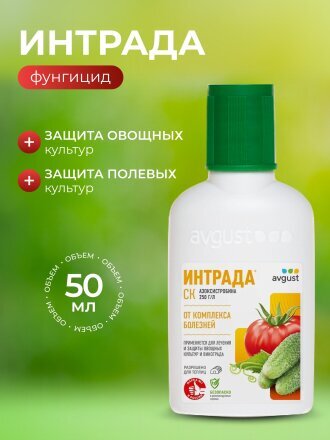 50 мл