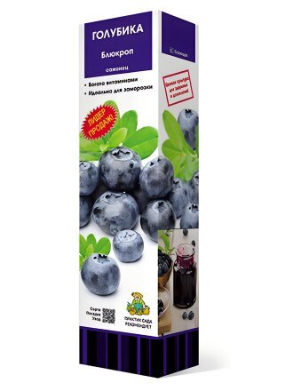 Саженцы Голубика высокорослая, Блюкроп, средняя