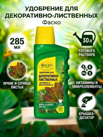для декоративно-лиственных растений