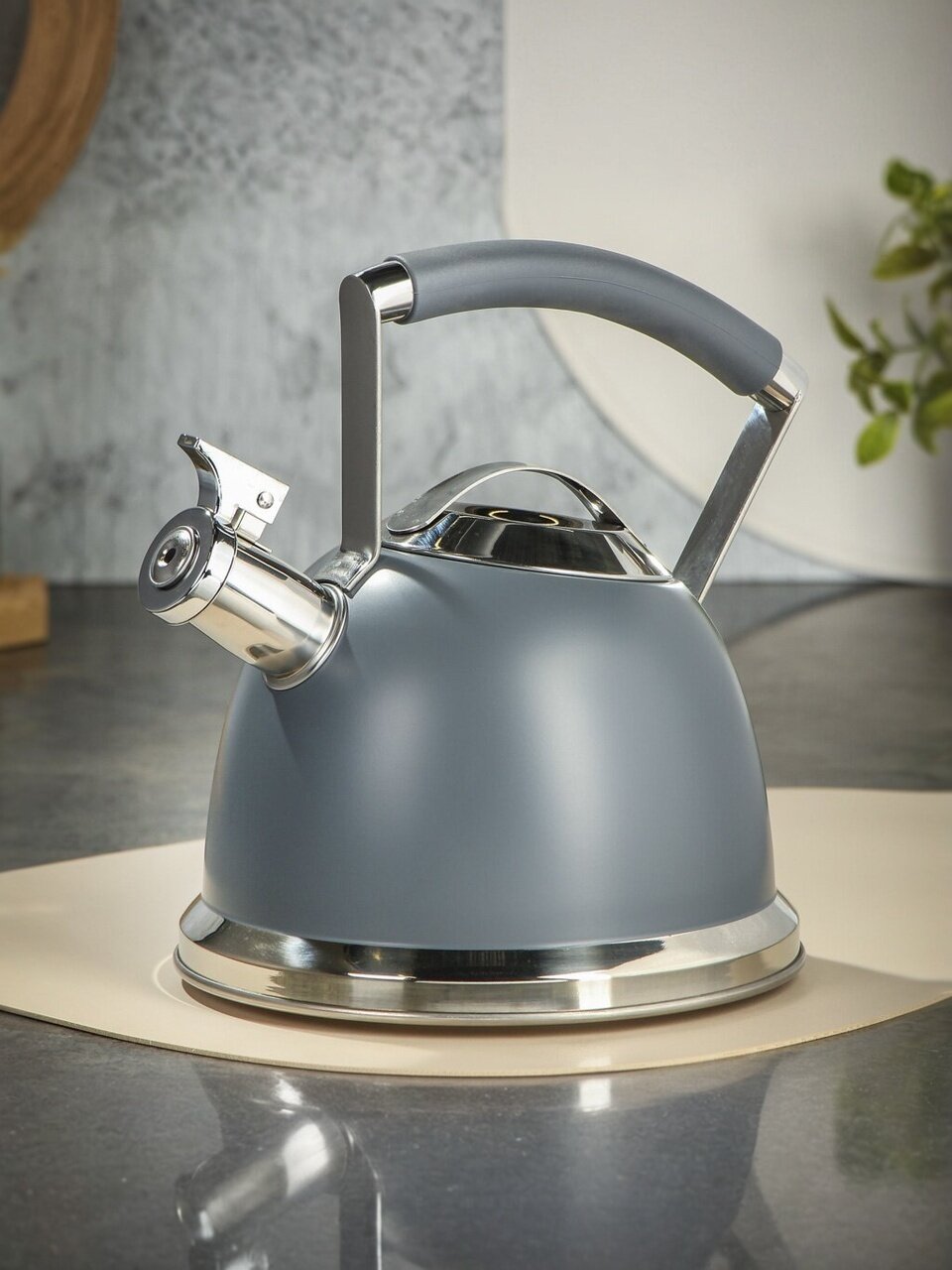 Чайник нержавеющая сталь, 2.4 л, со свистком, матовый, ручка с кремнеземом, нержавеющая сталь, Daniks, индукция, серый, GS-04324B-1
