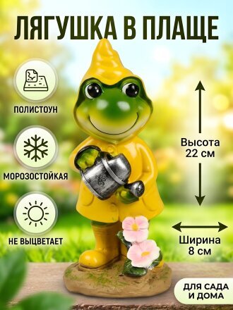 Лягушка в плаще