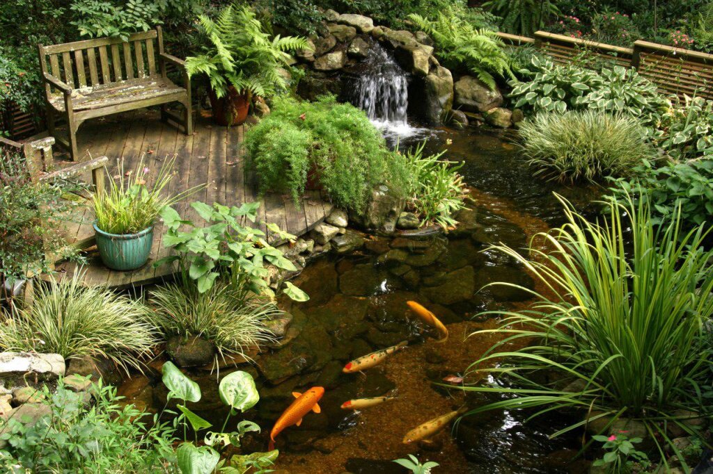 Как украсить садовый пруд: классные идеи с фото