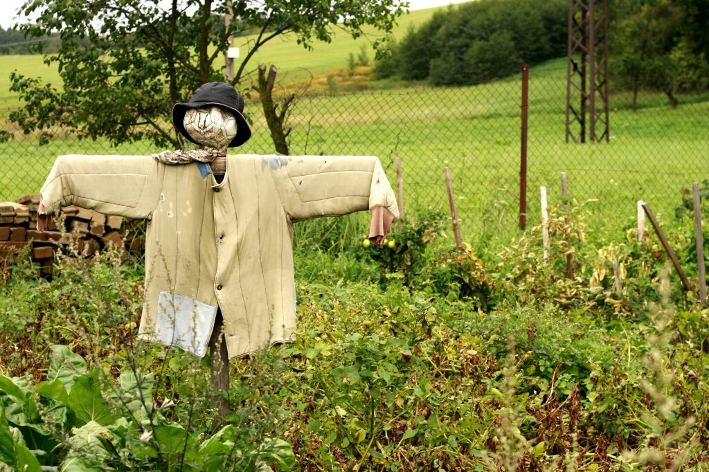 strasilo-na-ferme.jpg