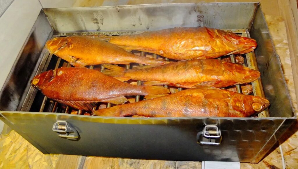 Какая рыба подходит для готовки в коптильне горячего копчения | Рецепты и интересные статьи от УЗБИ