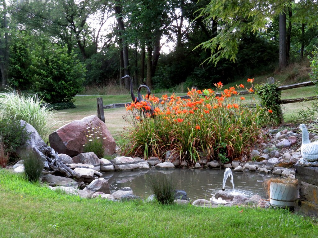 flowering-plants-park.jpg
