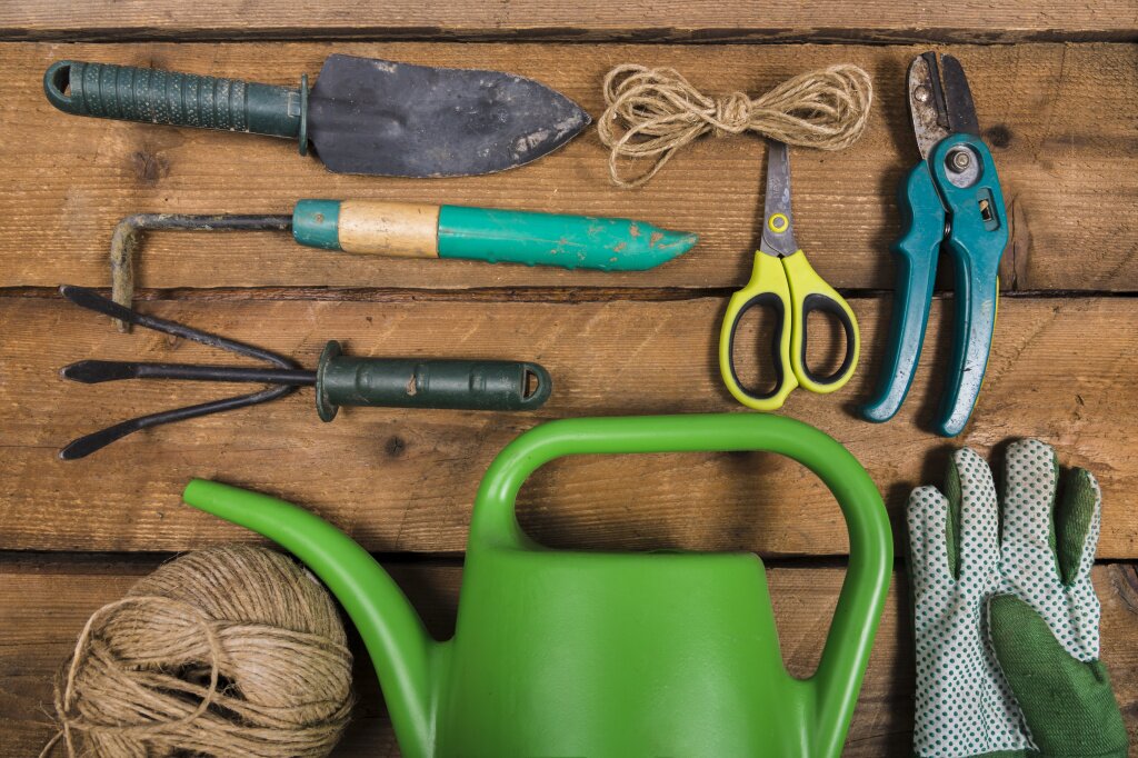 сад flat-lay-gardening-compositio.jpg