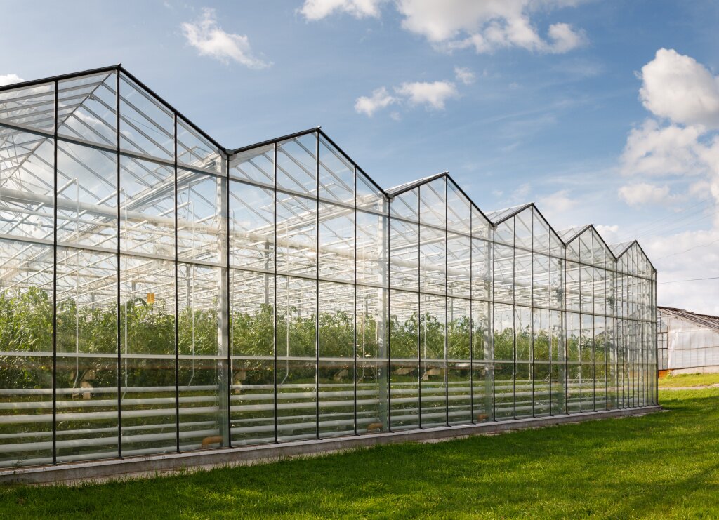 greenhouses-growing-vegetables-outdoors.jpg