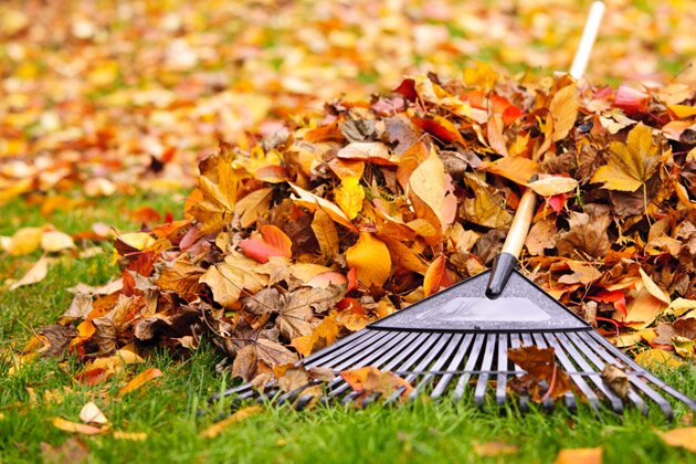 Самые важные осенние работы в саду - список работ сентября, октябрь и ноября | Блог Агрономова