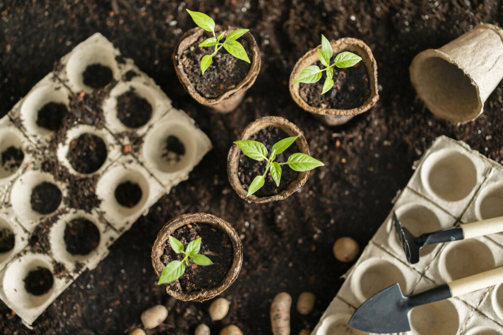 top-view-gardening-tools-flower-pot.jpg