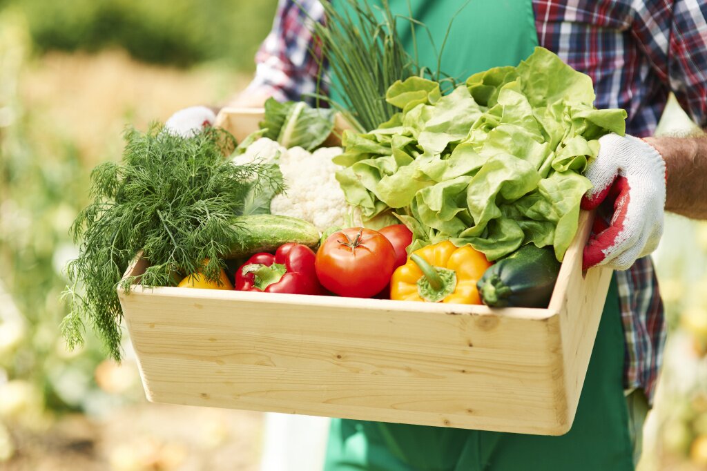 овощи close-up-box-with-vegetables-hands-mature-man.jpg