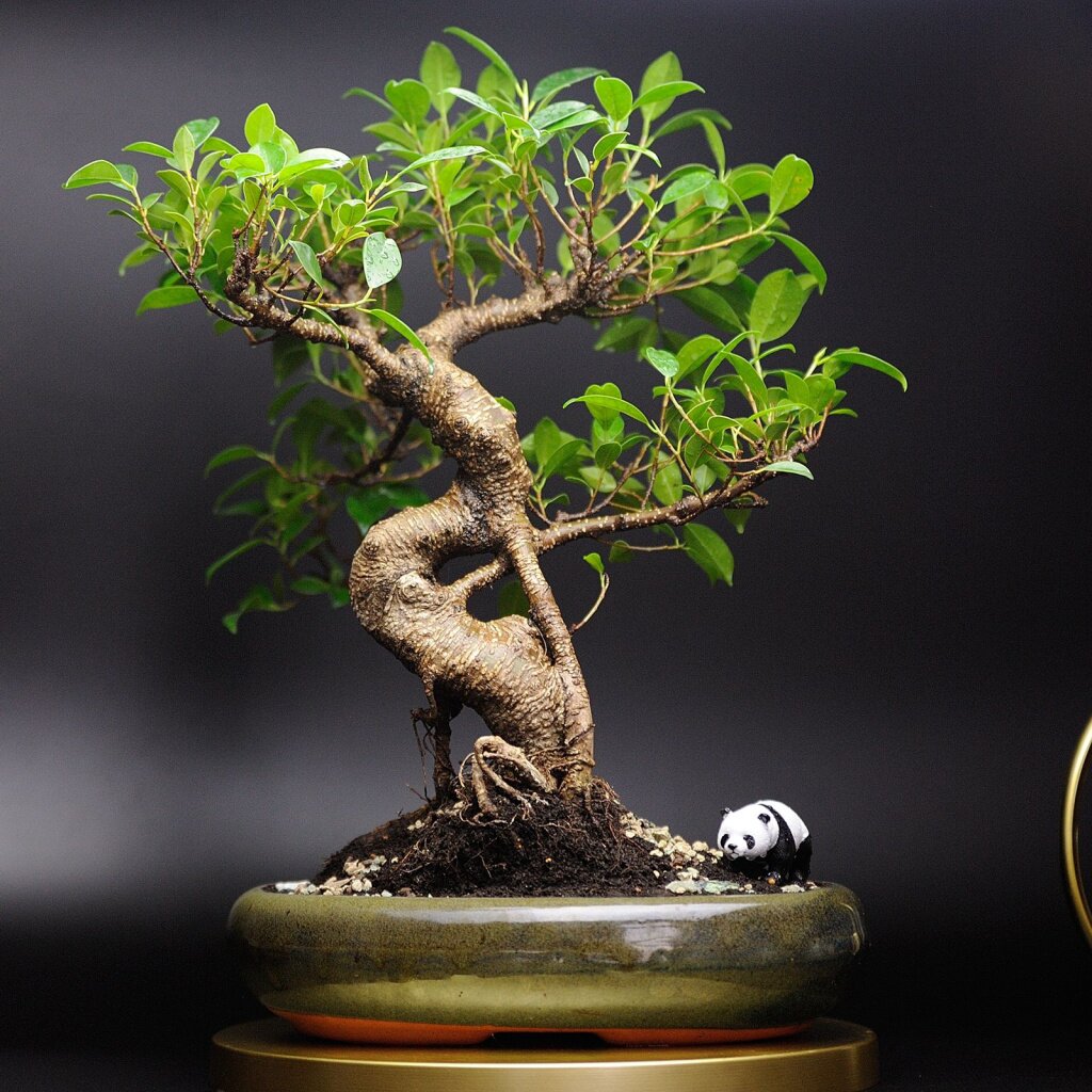 Как вырастить бонсай: миниатюрный сад на подоконнике