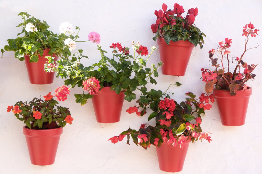 andalucia-spain-whitewashed-village-flower-pot-display.jpg