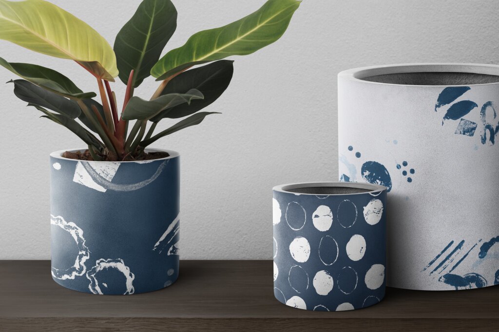 dieffenbachia-camille-plant-blue-pot.jpg