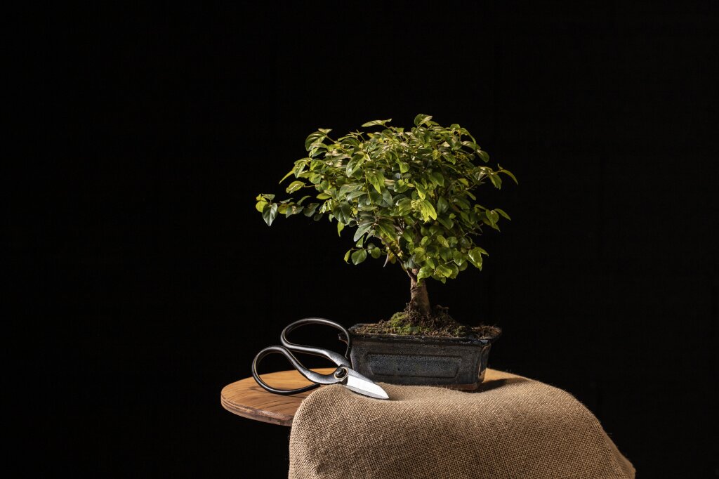 potted-plant-scissors-table-arrangement.jpg