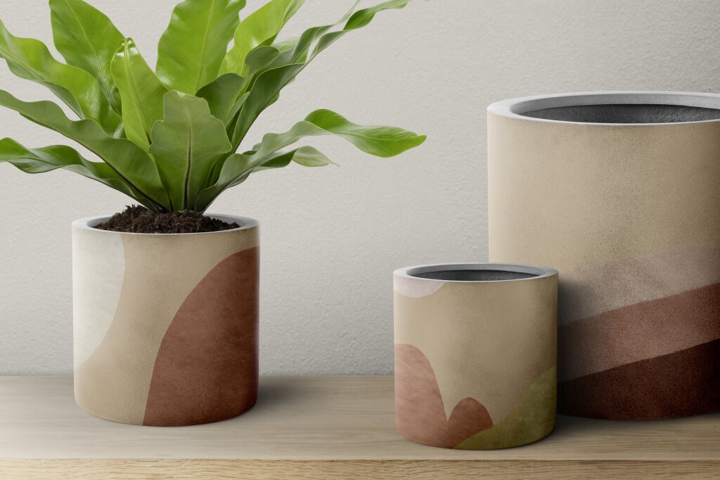birds-nest-fern-plant-beige-pot.jpg