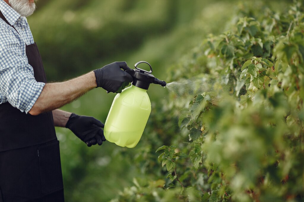 белизна farmer-spraying-vegetables-garden-with-herbicides-man-black-apron.jpg