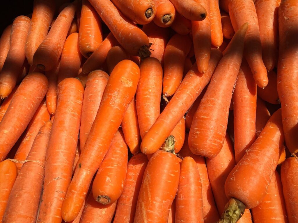Как правильно хранить морковь – блог интернет-магазина Порядок.ру