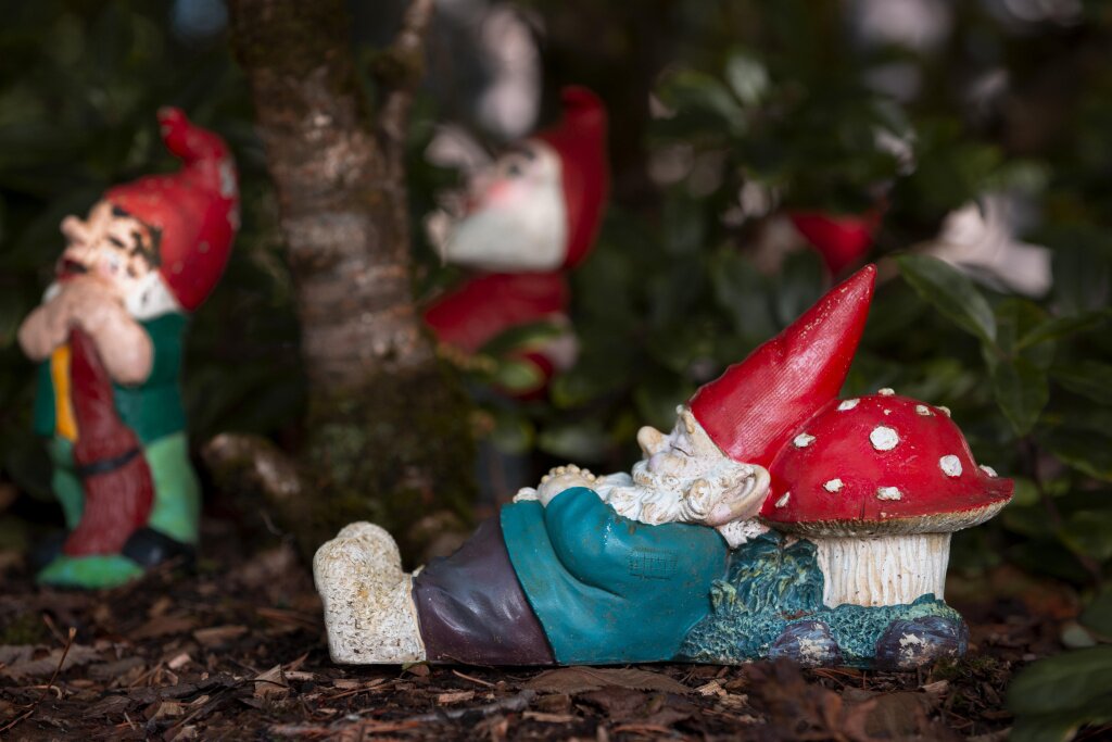 гномы group-different-funny-garden-gnomes.jpg