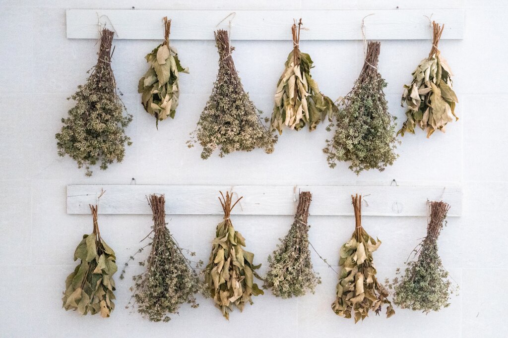 high-angle-view-dry-plants-hanging-row.jpg